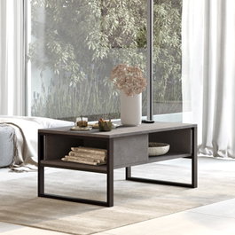 Hanah Home Ml34-Rg Mesa de Centro con Estantes y Estructura Metálica Plata